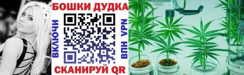 Магазин наркотиков Сосногорск Марихуана  Меф мяу мяу  COCAIN  Галлюциногенные грибы  Гашиш  Alpha PVP  АМФ 