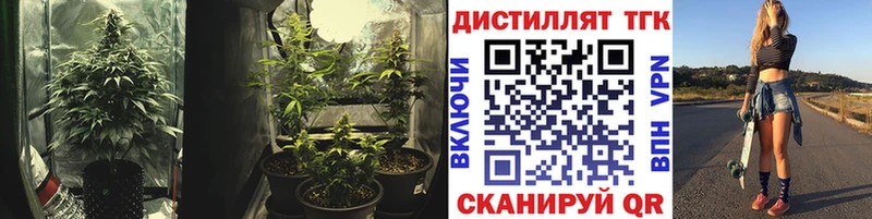 ТГК гашишное масло  Сосногорск 